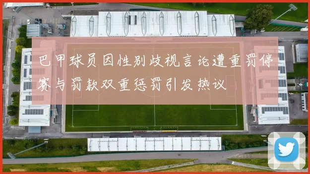 巴甲球员因性别歧视言论遭重罚停赛与罚款双重惩罚引发热议