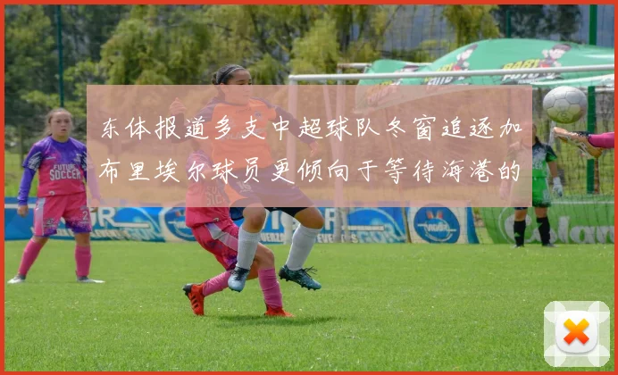 东体报道多支中超球队冬窗追逐加布里埃尔球员更倾向于等待海港的机会